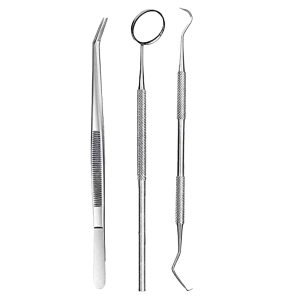 Economy Professional Dental Hygiene Kit Plaque Remover Set