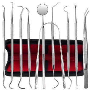 Dental Kit Tools, 10 Pack Stainless Steel Plaque Remover